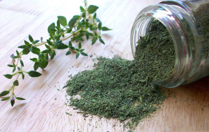 6015_kekik_bitki_kuru