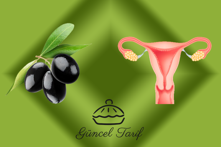 zeytin-kadinyumurtaliklari